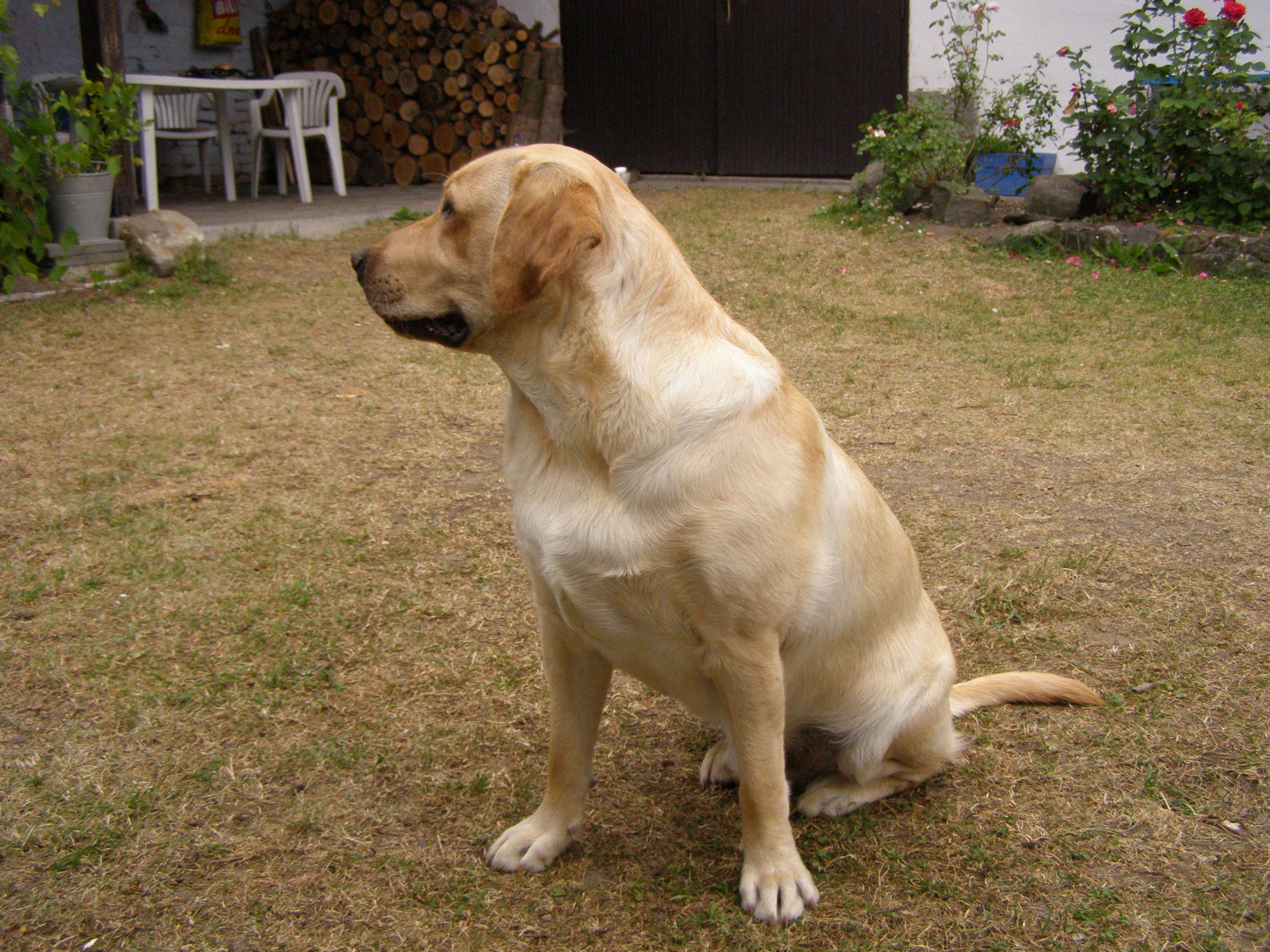 Andy 5.JPG
