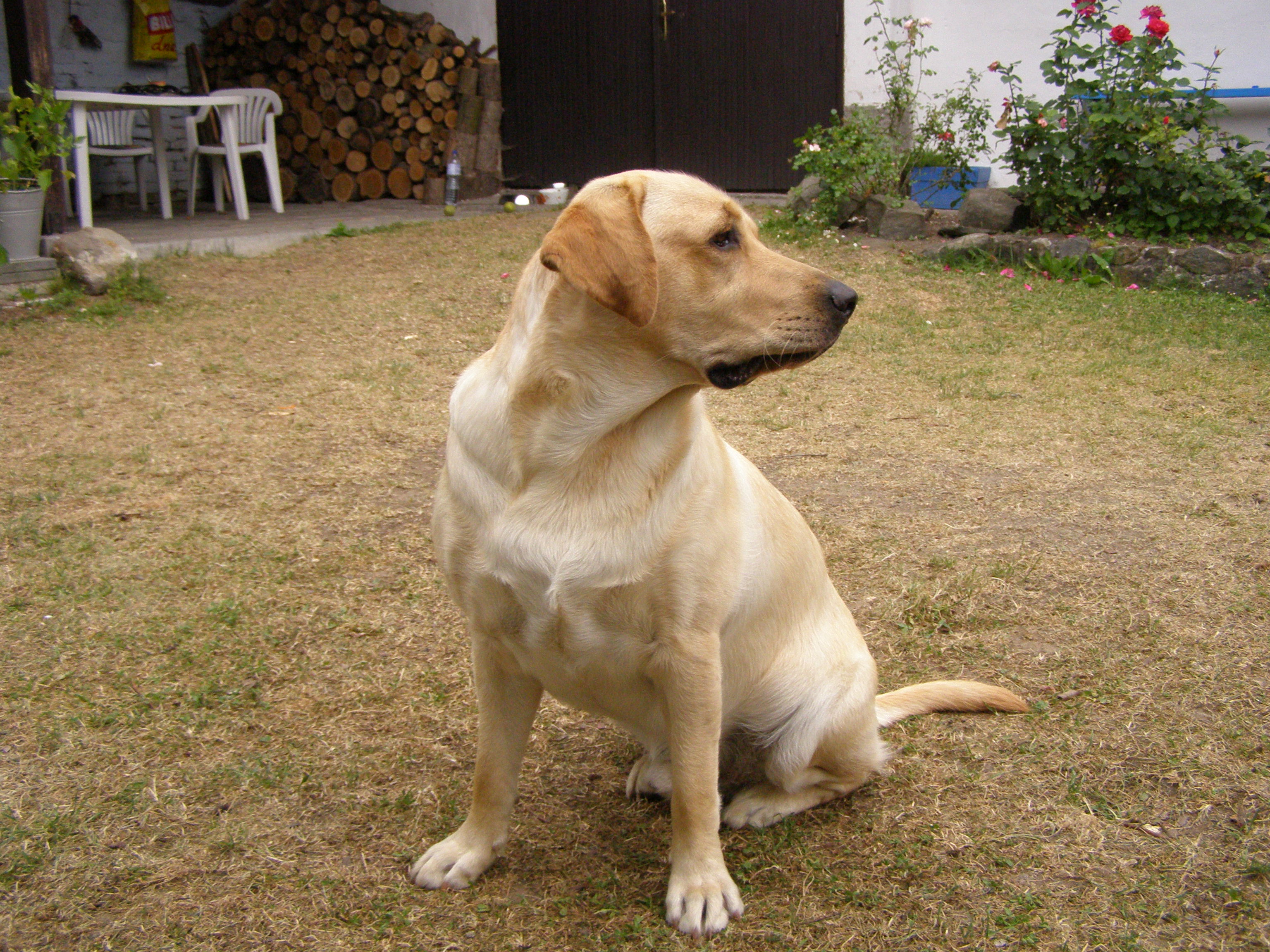 Andy 6.JPG