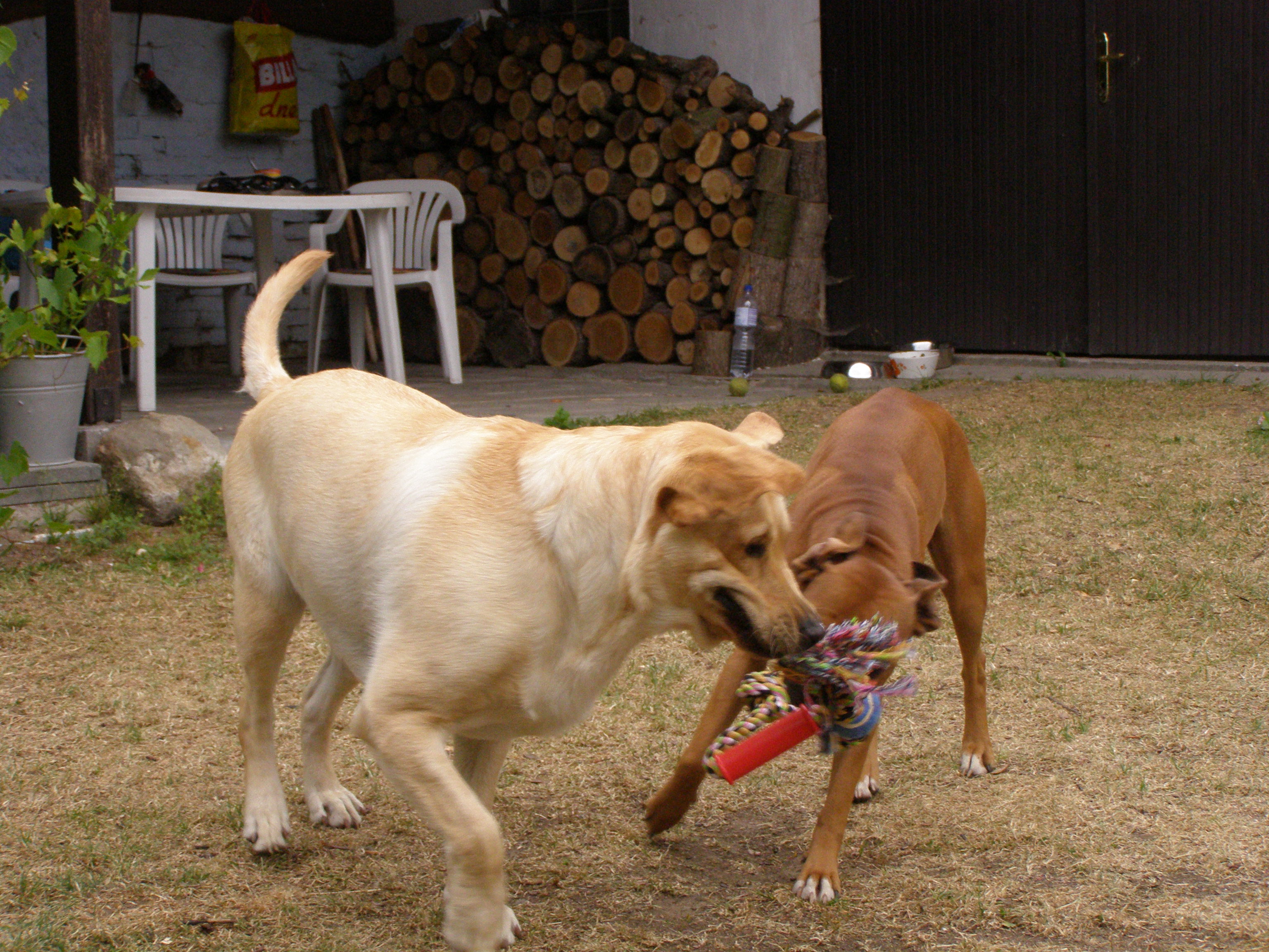 Andy a Aemi 01.JPG