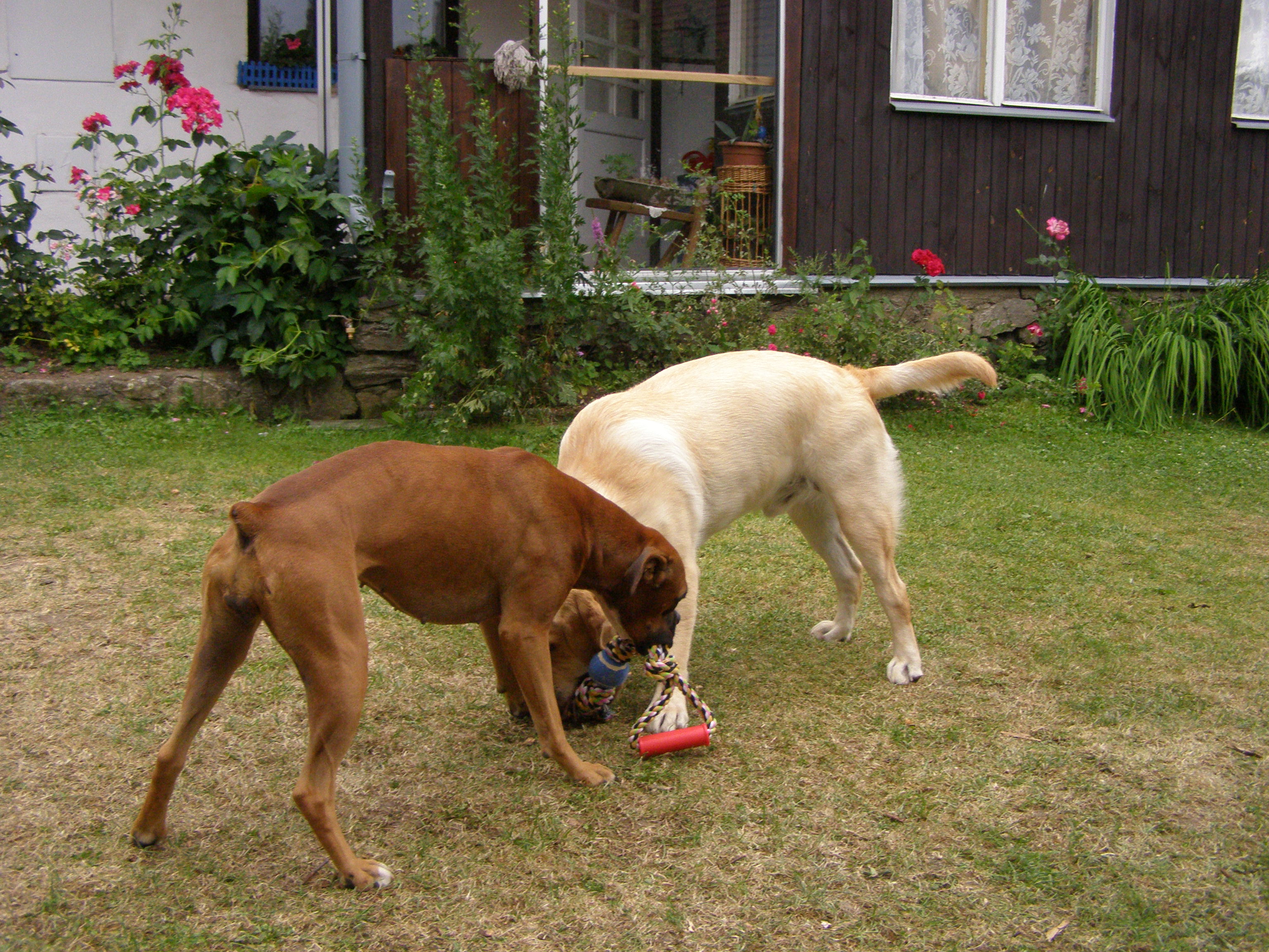 Andy a Aemi 04.JPG